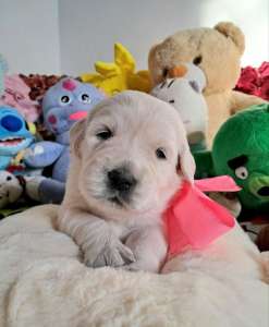 �������� ����������� �������� Ot Bahur - ����������� 1