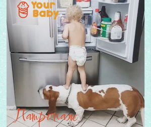 �������� �������������� � ���� �������� ��� � Your Family - ����������� 1