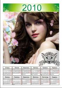 ��������� 2010 (���, �������) - ����������� 1