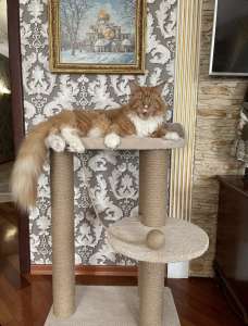 ��������� ��� ������. ������, �������� - ����������� 1