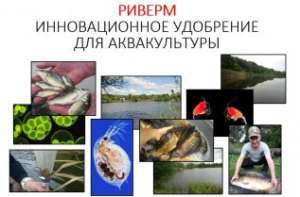 ��������� ��� ������ ������ (������������) - ����������� 1