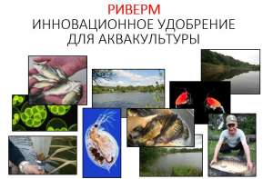 ��������� ��� ������ ������ (������������) - ����������� 1