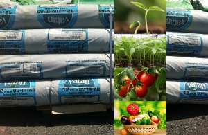 ��������� ����� Vatan Plastik (������). ������������������� ��� ������ - ����������� 1