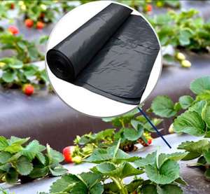 ��������� ����� ��������� 2022 - ����������� 1