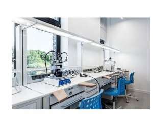 ��������� ����� ���������������, 55-� - ����������� 1