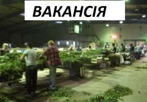 ��������� ������ �� �������� � ������ - ����������� 1