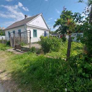 ��������� ������� � ����������� ������� �. �������, �� ���. �������� ������������ (����� ����������) (�-� 5 �����) - ����������� 1