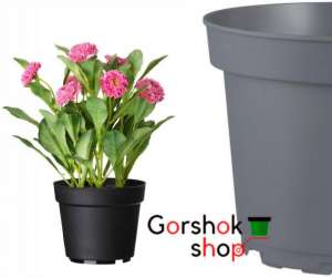 ��������� ������� ��� ���� Kloda - ����������� 1