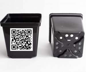 ��������� ������� ��� ���� �� ������� Kloda - ����������� 1