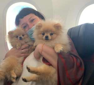 ��������� �������� � ��� � ������ �� ����� ��� - ����������� 1