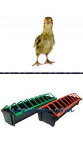 ��������� �������� ��� ��������� - ����������� 1