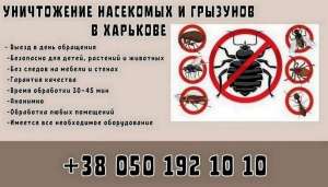 ��������� �������� �������. - ����������� 1