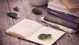 ��������� ��������, ����������, ������. ������������ � �����. - ����������� 1