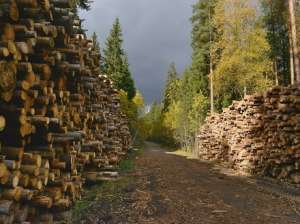 ��������� ��������� �� ������� ���� - ����������� 1