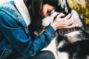 ��������� ���������. ������� ������. ������-�������� �������. - ����������� 1