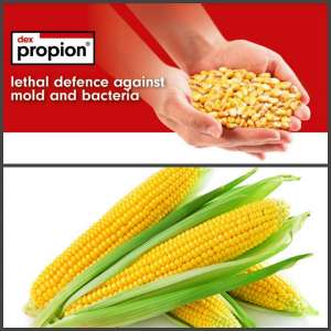 ���������, ���������, ����������. ������ ��������� ��� ��������� ����� - ����������� 1