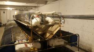 ��������� ����������. - ����������� 1