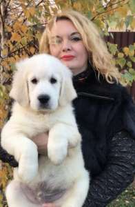 ��������� ���������� �������� "�t Bahur" ��� ��� �� ��� ������������� ������� ����� ����������� ��������! ���� ����� � - ����������� 1