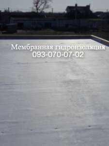 ��������� ����������� �������� ������� - ����������� 1