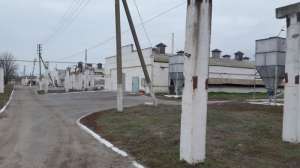 ��������� ����������� ������������ �� ����������� ������� - ����������� 1