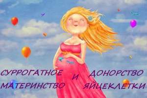 ��������� ������������ ����������� � �����. ��������� ���������� ���� - ����������� 1