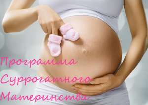 ��������� ������������ ����������� � ��������� ���������� ������ - ����������� 1