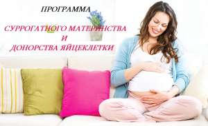 ��������� ������������ ����������� ����. ��������� ���������� ���� - ����������� 1