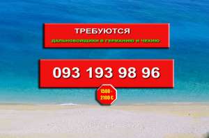 ��������� �������������. ������ � ��������. �����. - ����������� 1