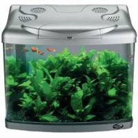 ���������, ��������������, ���������� ��� ��������� - ����������� 1