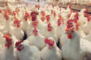 ���������� � �������� ������� - ����������� 1