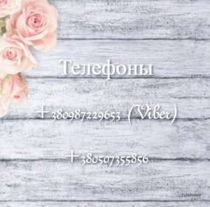 �����/����� �� �����, ������.������������� ������������ - ����������� 1