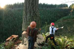 ���������� �� ������� ���� � ��������� - ����������� 1