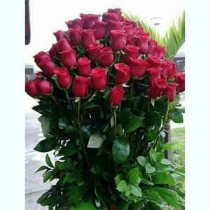 ���������� �� ������������������ ������-����� - ����������� 1