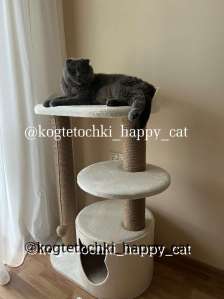 ���������� ��� ����� ������ - ����������� 1