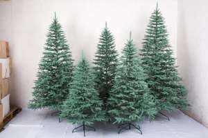 ���������� ����, ���� �������������, ���� �����, ����� ������������� - ����������� 1