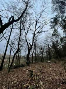 ���������� ���� ����� � ���. - ����������� 1