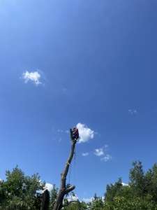 ���������� ���� ����� � ���. - ����������� 1