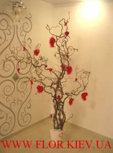 ���������� ����� �� ��� ��������� - ����������� 1