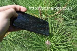 ���������� ����� ���� ����� 2016 � ��������� - ����������� 1