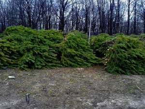 ���������� ����� ����� ����� 2016-2017 - ����������� 1