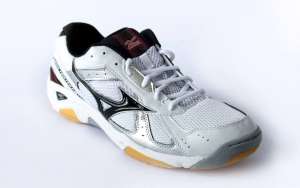 ���������� ������: ��������� Mizuno Wave Twister 2 - ����������� 1