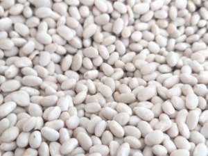 ���������� ������� ��� - ����������� 1