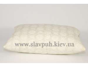 ���������� �������. ��������� ����. - ����������� 1