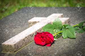 ���������� ��������� - ����������� 1