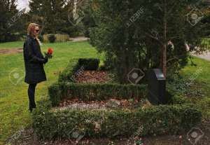 ���������� ��������� - ����������� 1