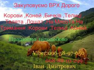 ���������� ���:������ ���� ����� ������ ������ ������ �� ���� �� �� - ����������� 1