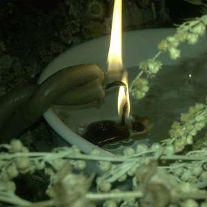 ���������� ���������� ����� - ����������� 1