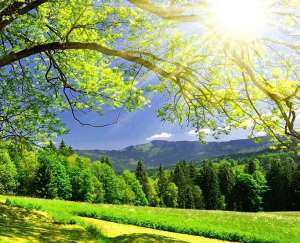 ����������, ����������� �� ����, ������� �� ������ ���� - ����������� 1