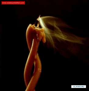 ���������� ����������� ������ - ����������� 1