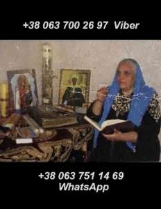 ���������� �����������, �����������������, ������� ��������� - ����������� 1